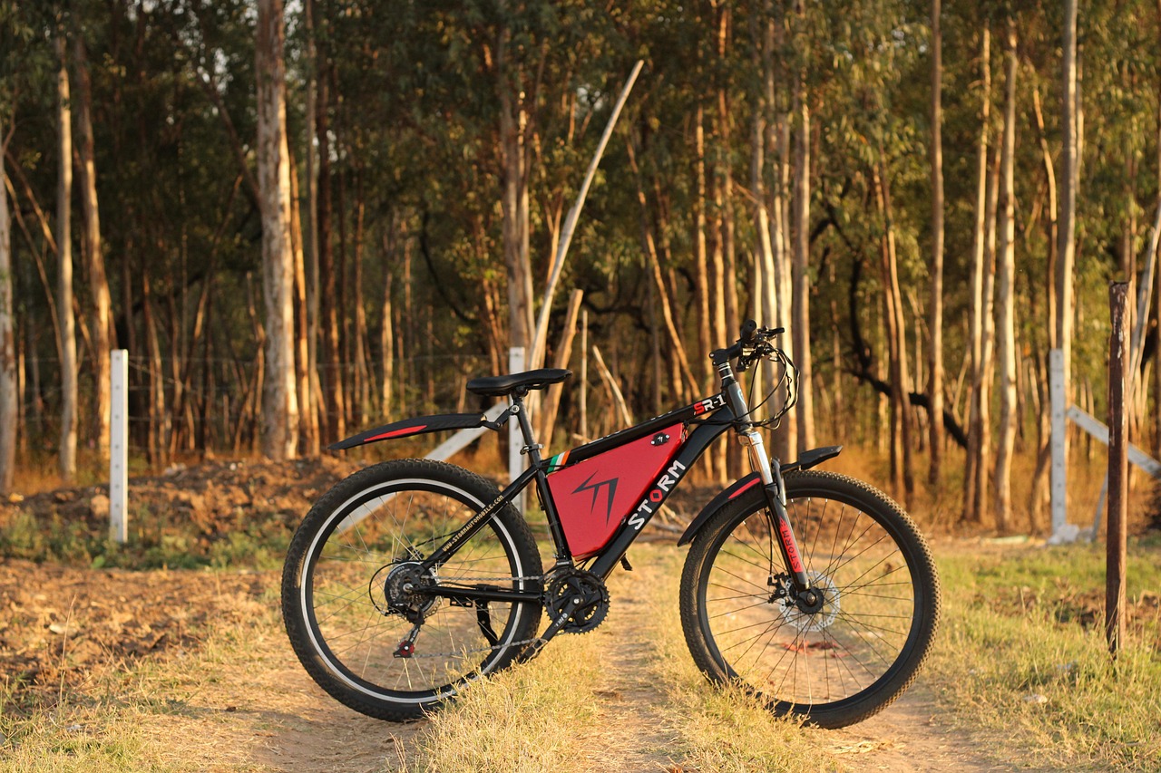Ebikemood il marketplace italiano per dare nuova vita alle e-bike